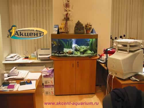 Акцент-аквариум,аквариум 170 литров панорамный,офис